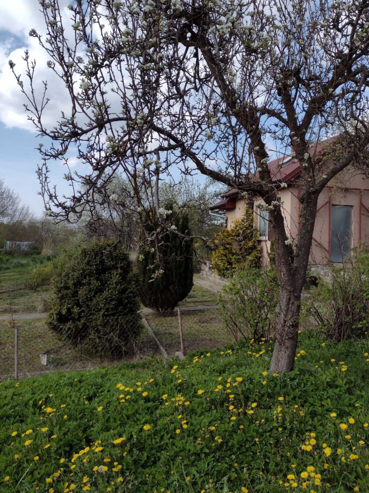 Działka rod Koszalin. Zdjęcie 7