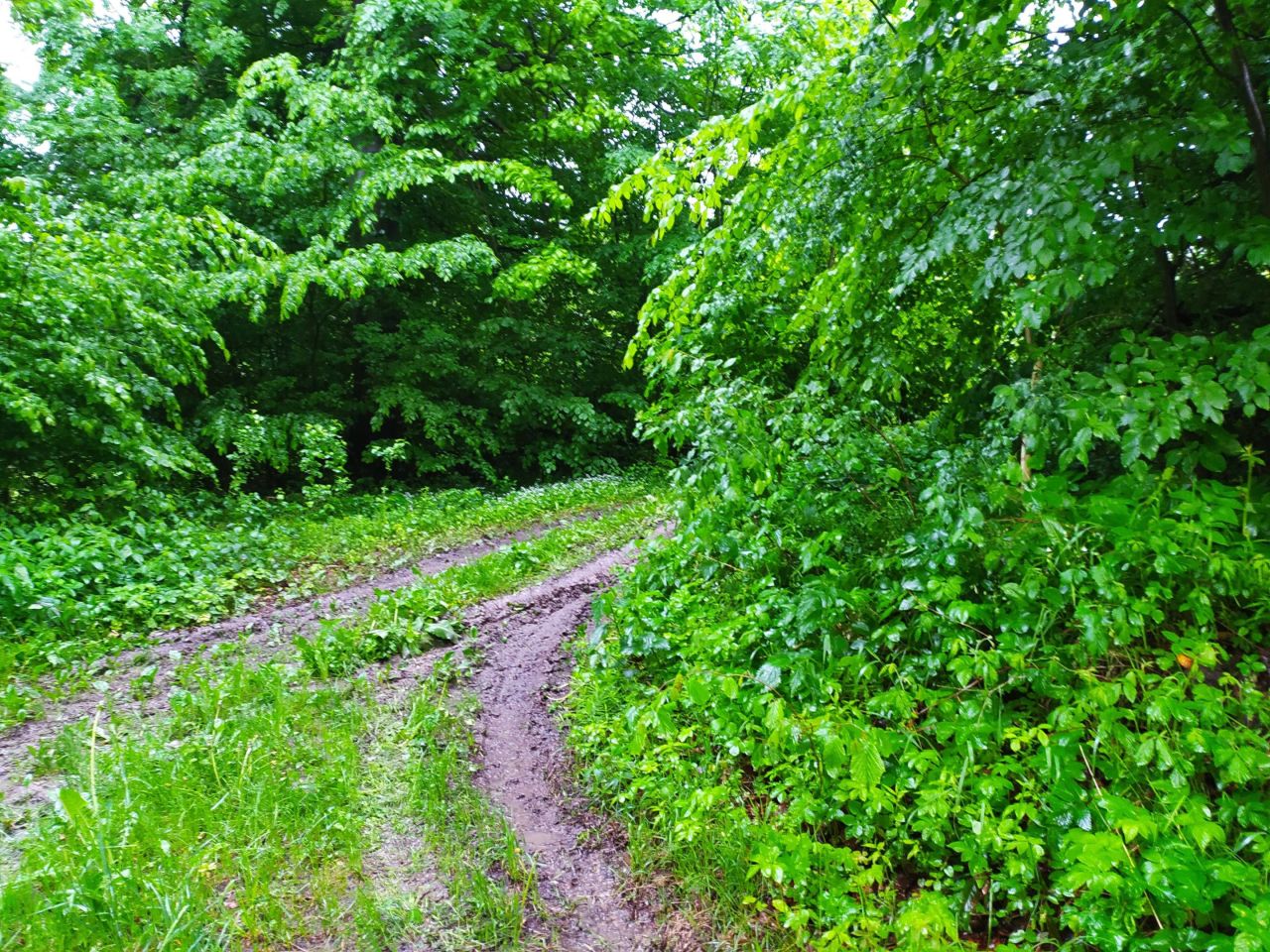 Działka rolna Bliżów Wojda. Zdjęcie 3