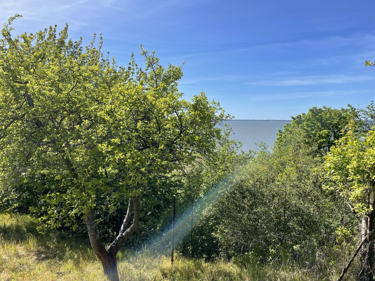 Działka rolno-budowlana Tolkmicko, ul. Morska. Zdjęcie 8