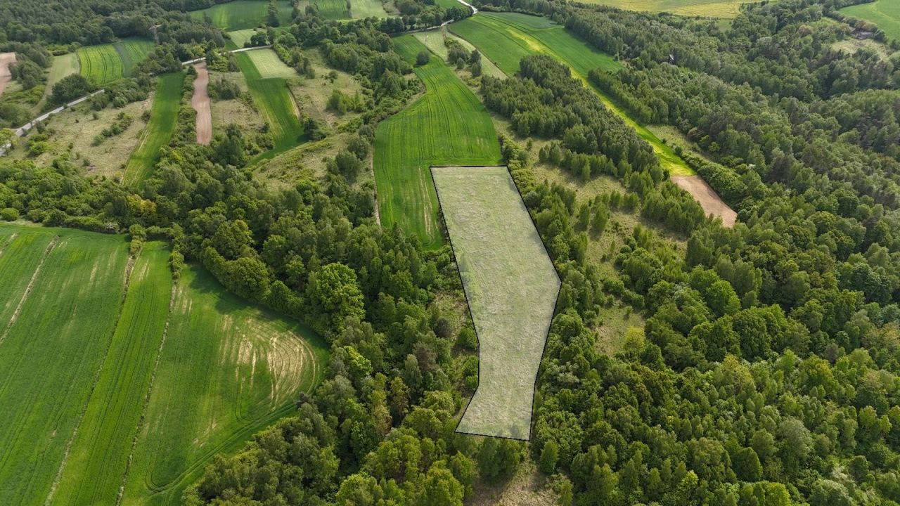 Działka rolna Kunów, ul. Kaznodziejska. Zdjęcie 6
