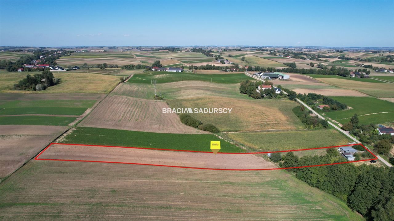 Działka rolna Kazimierza Wielka. Zdjęcie 2