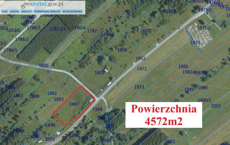 Działka inwestycyjna Borek. Zdjęcie 4