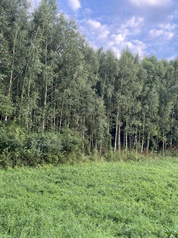 Działka leśna Zagórze Świtałówka. Zdjęcie 1