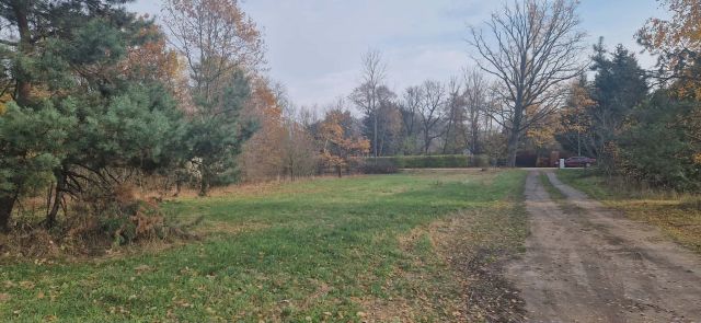 Działka budowlana Many, ul. Długa. Zdjęcie 4