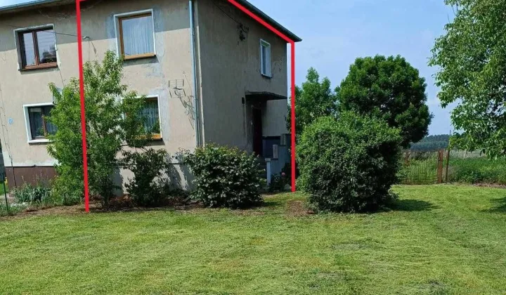 bliźniak Borkowice Niwy