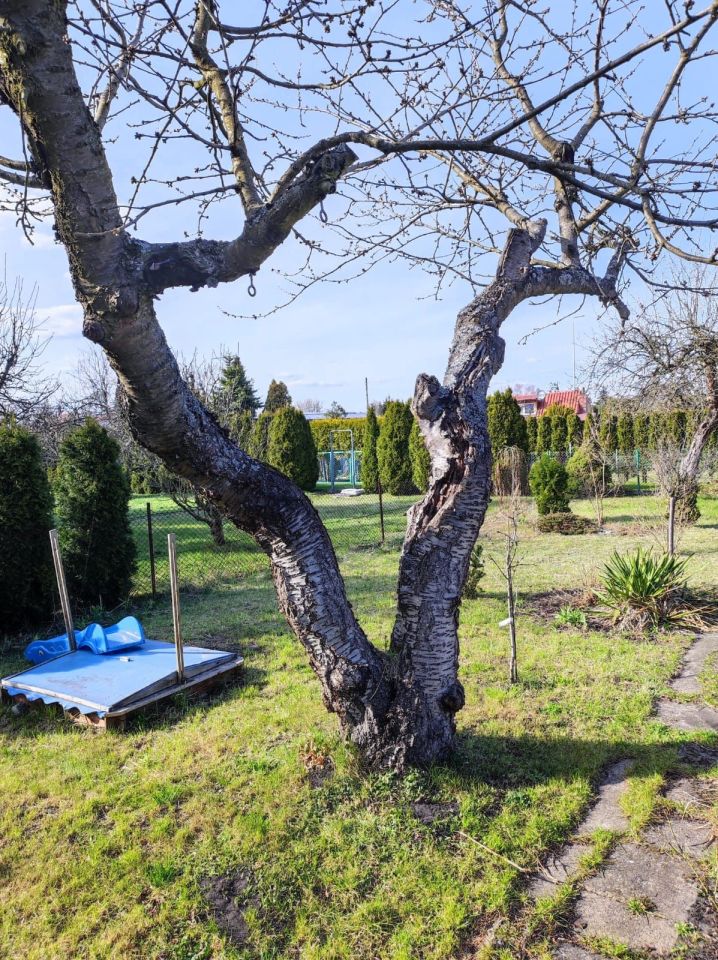 Działka rod Grudziądz. Zdjęcie 2