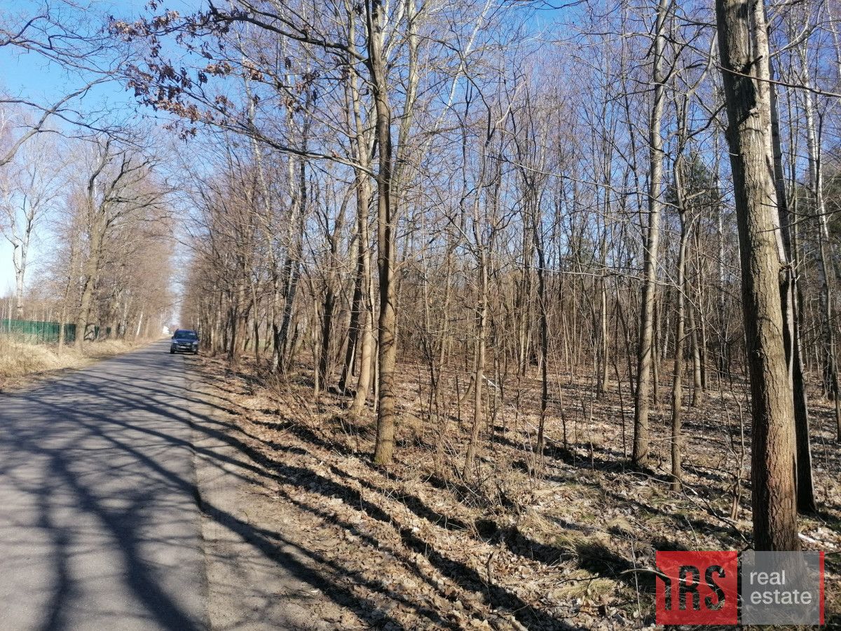 Działka budowlana Studzieniec. Zdjęcie 4