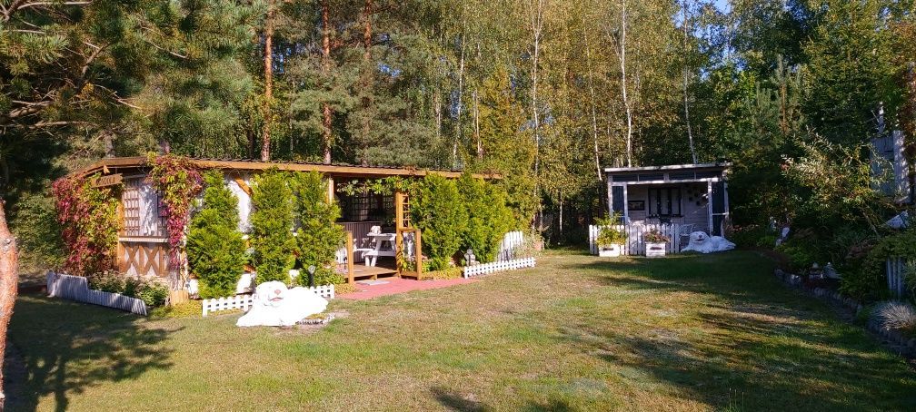 Działka rekreacyjna Czarne