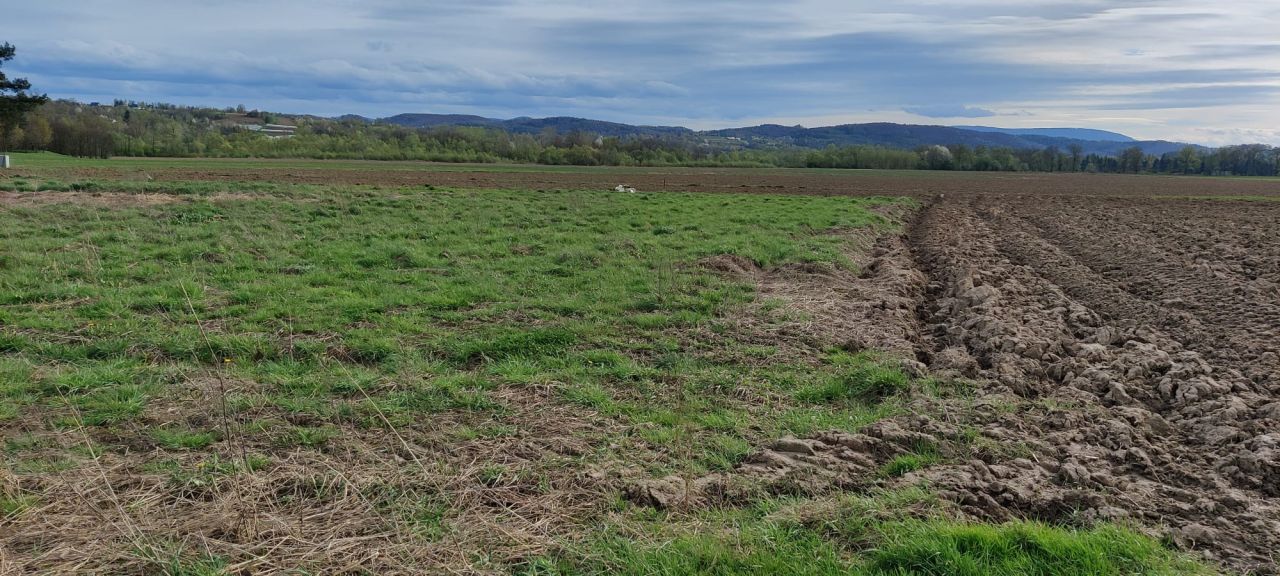 Działka rolno-budowlana Fałkowice. Zdjęcie 4