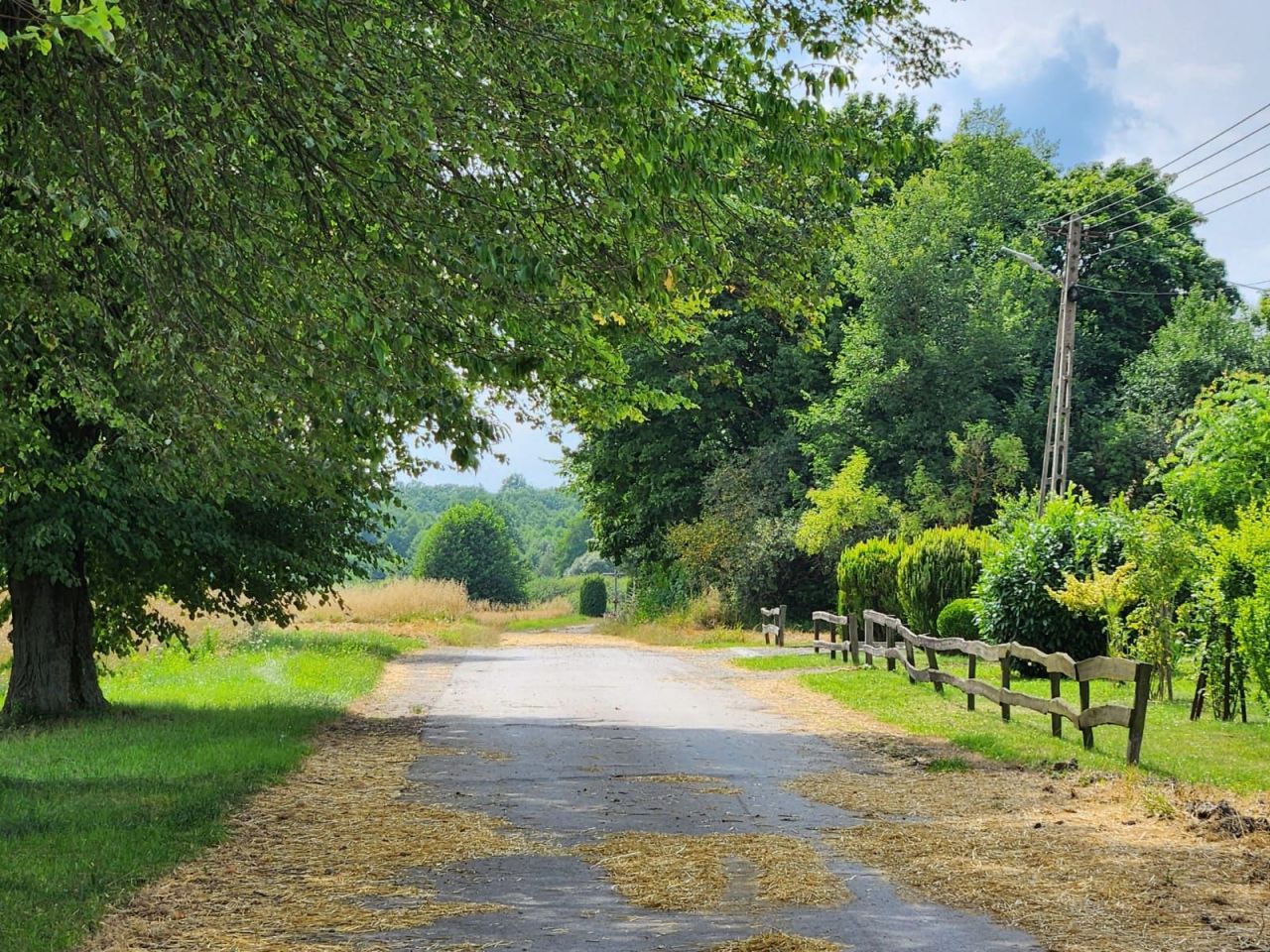 Działka Krowica. Zdjęcie 5
