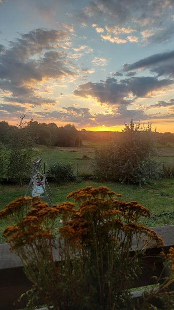 dom wolnostojący, 3 pokoje Strzyżewo. Zdjęcie 8
