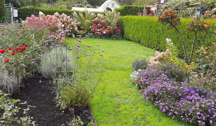 Działka rod Piła, ul. Różyckiego