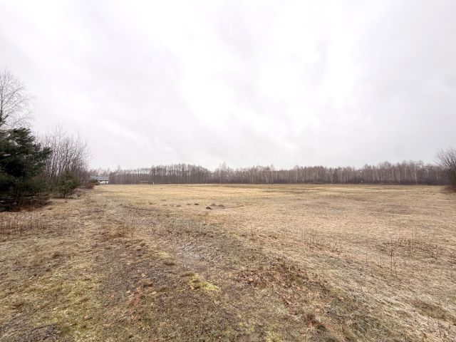 Działka inwestycyjna Borek Wielki. Zdjęcie 5