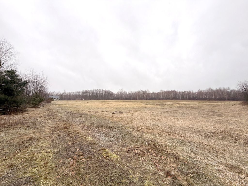 Działka inwestycyjna Borek Wielki. Zdjęcie 5