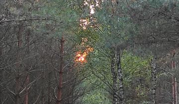 Działka leśna Służewo-Pole