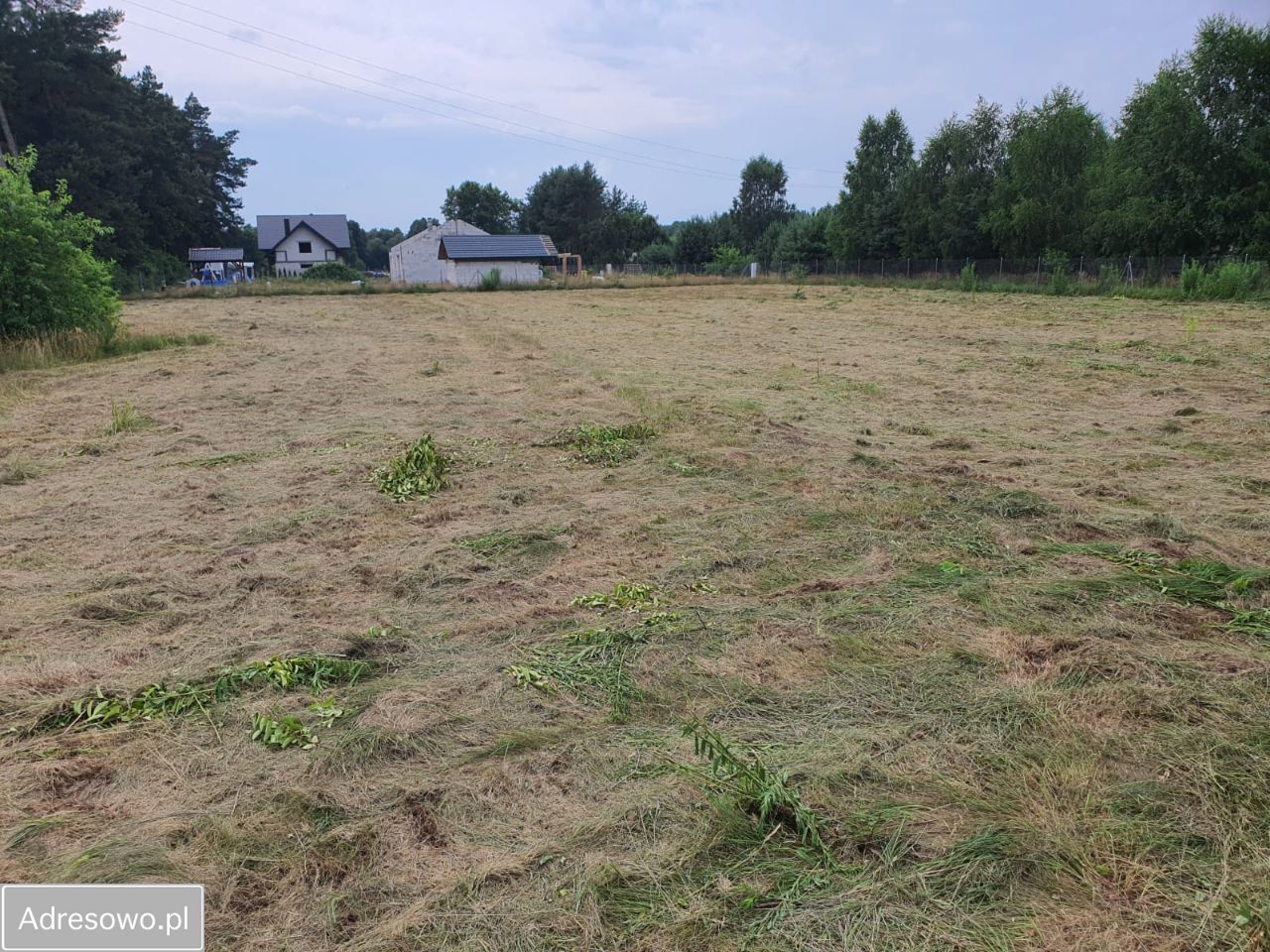 Działka rekreacyjna Drzewociny. Zdjęcie 2