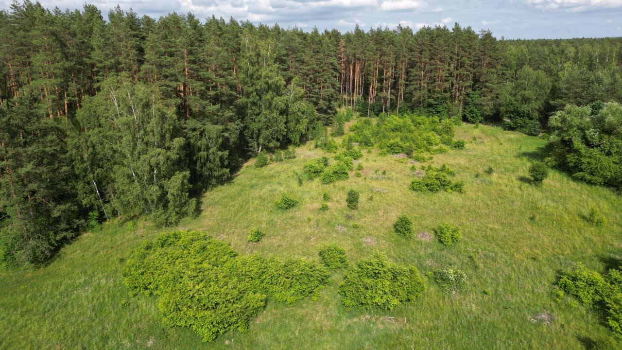 Działka rolno-budowlana Krawno. Zdjęcie 7