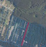 Działka rolna Żuk Stary