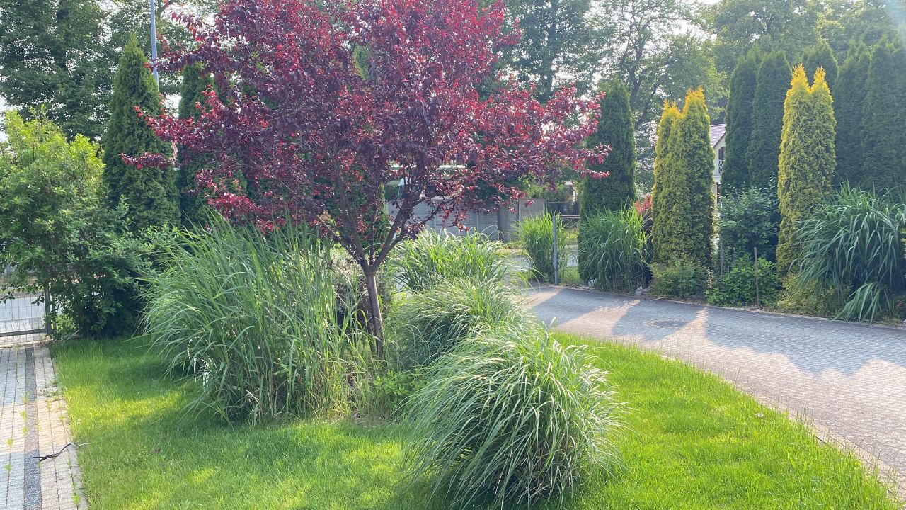 dom wolnostojący, 6 pokoi Chocianów, ul. Szprotawska. Zdjęcie 35