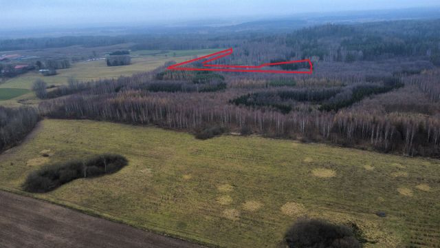 Działka leśna Niedbałki, brak. Zdjęcie 1