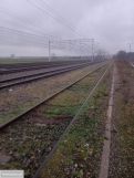 Działka inwestycyjna Przywory. Zdjęcie 3