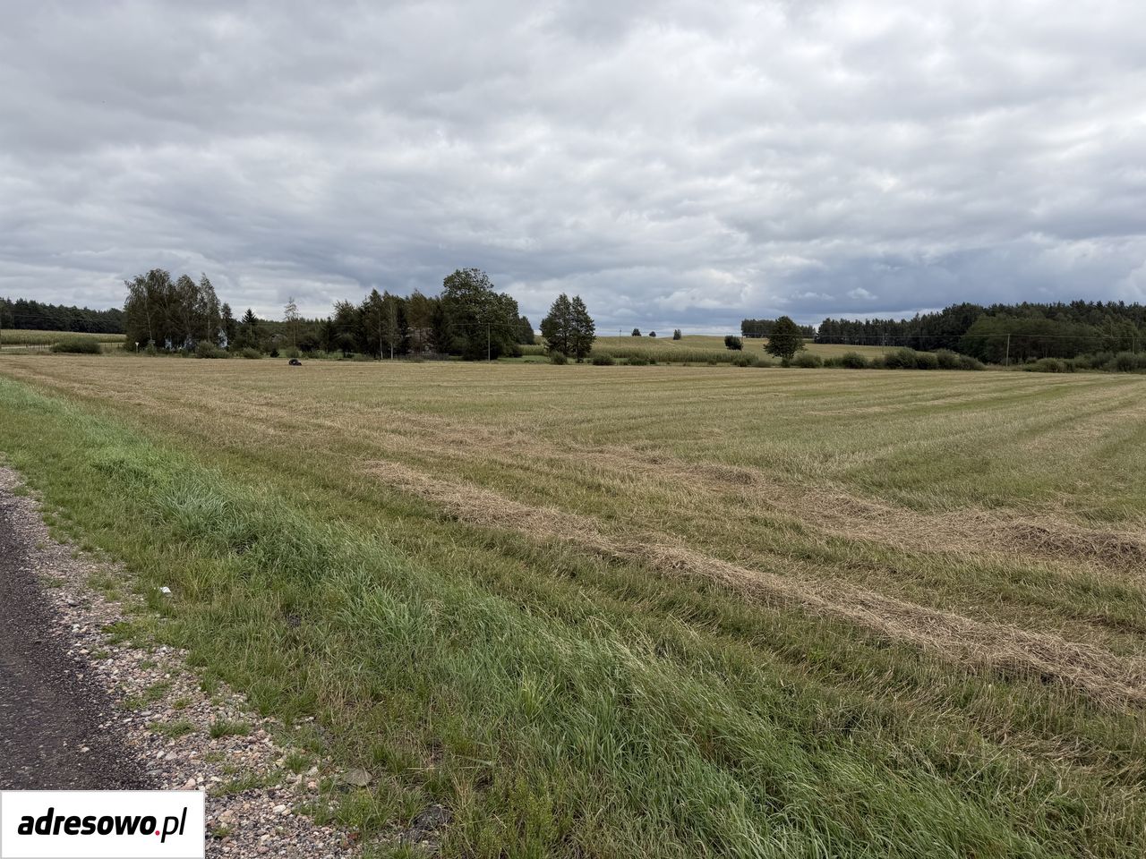 Działka inwestycyjna Józefowo. Zdjęcie 10
