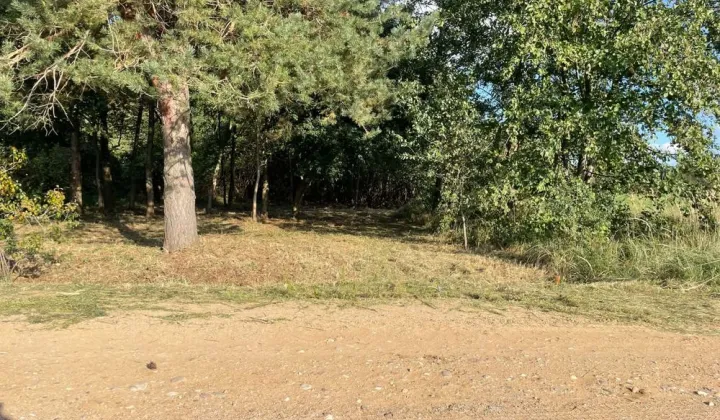 Działka rekreacyjna Bujały-Gniewosze