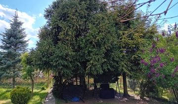 Działka rod Łódź Łagiewniki