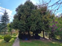 Działka rod Łódź Łagiewniki. Zdjęcie 1