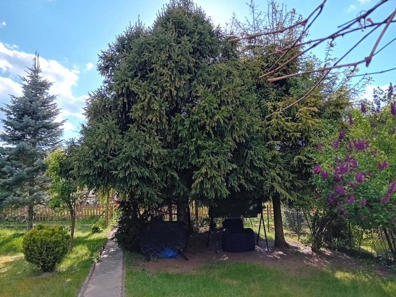 Działka rod Łódź Łagiewniki. Zdjęcie 2