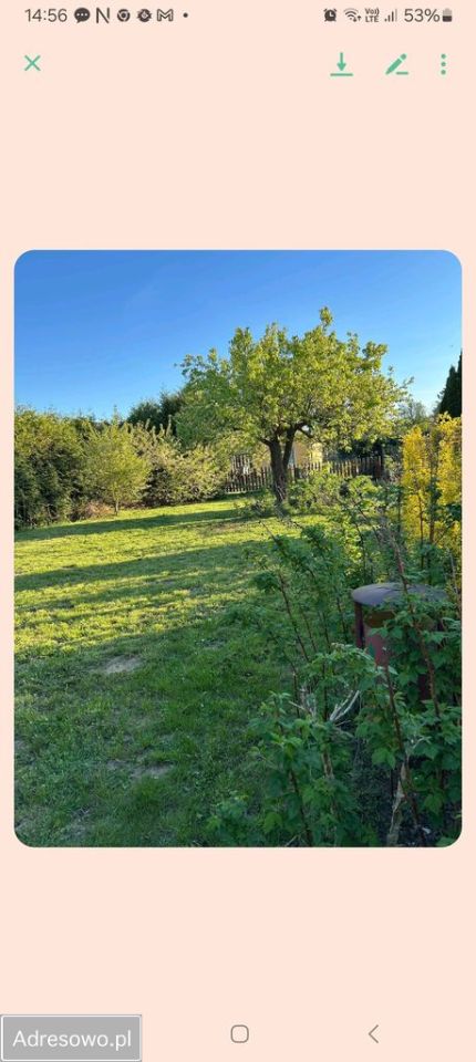 Działka rod Ciechocinek, ul. Gabriela Narutowicza. Zdjęcie 6