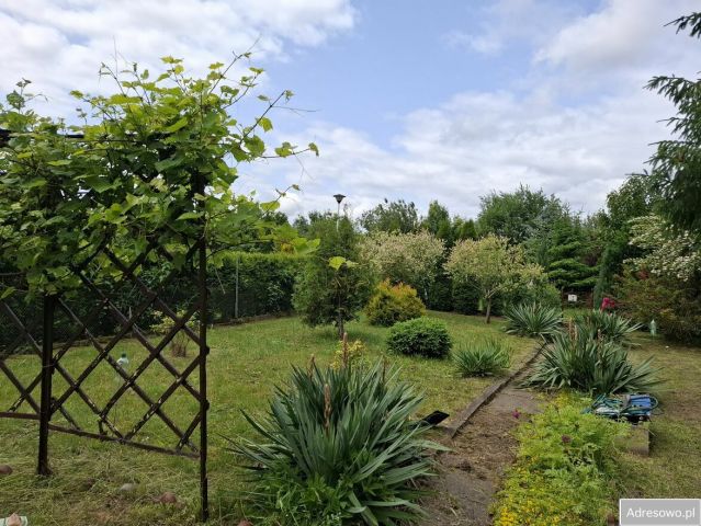 Działka rod Jastrzębie-Zdrój, ul. Wolności. Zdjęcie 1