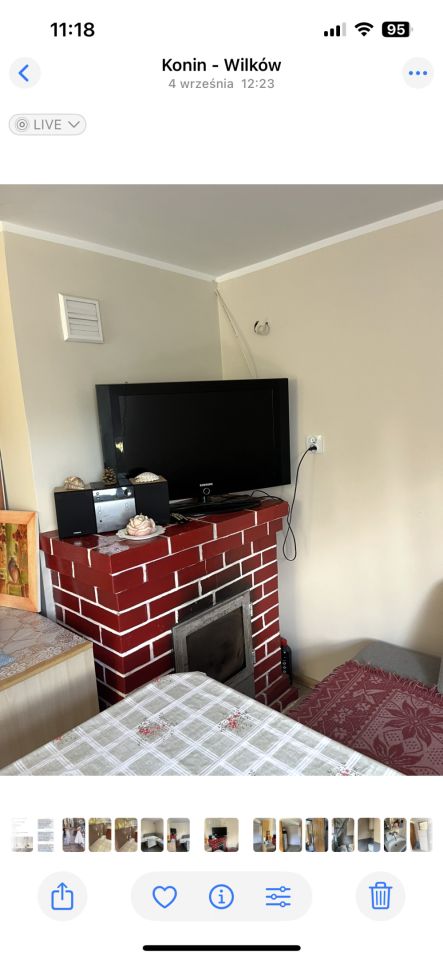 Działka rod Żychlin. Zdjęcie 3