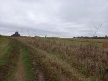 Działka siedliskowa Folwarki Wielkie. Zdjęcie 4