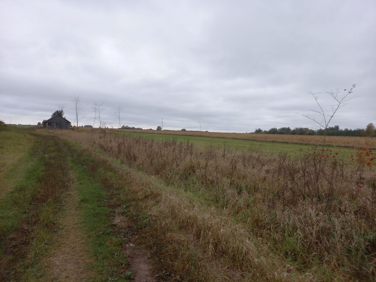 Działka siedliskowa Folwarki Wielkie. Zdjęcie 5