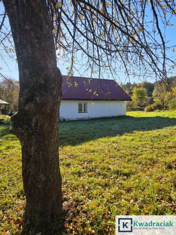 dom wolnostojący, 4 pokoje Myczków. Zdjęcie 5