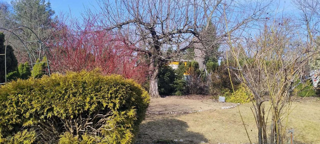 Działka rod Łódź Stoki. Zdjęcie 5