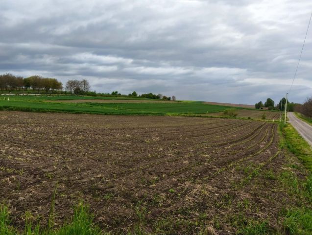 Działka budowlana Siennów. Zdjęcie 1