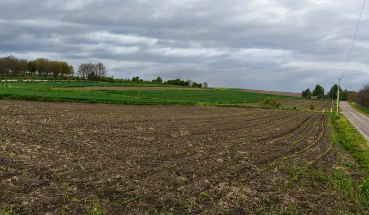 Działka budowlana Siennów