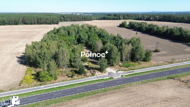 Działka inwestycyjna Dąbrowa Bolesławiecka. Zdjęcie 10