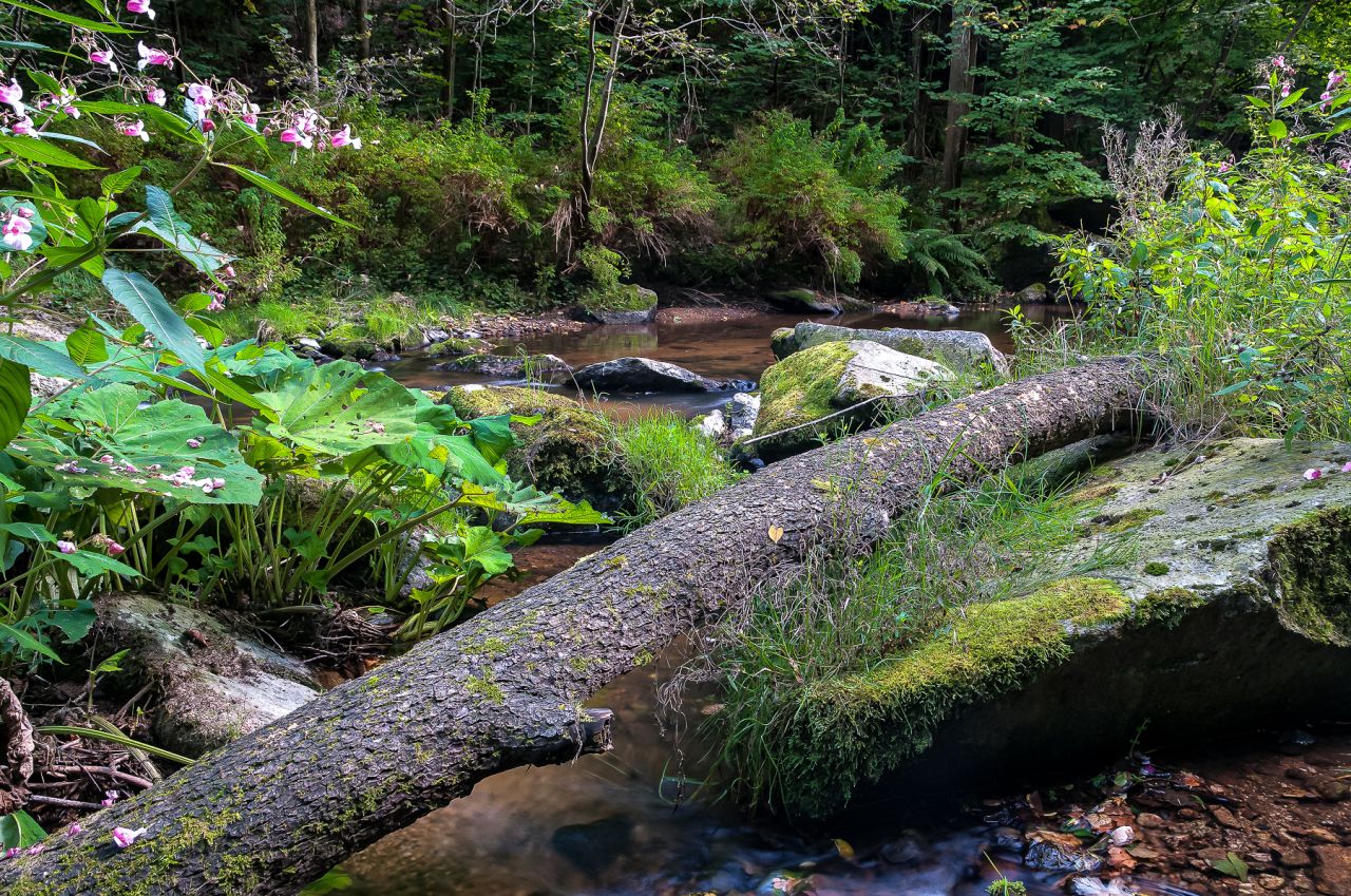 Działka budowlana Barcinek. Zdjęcie 12