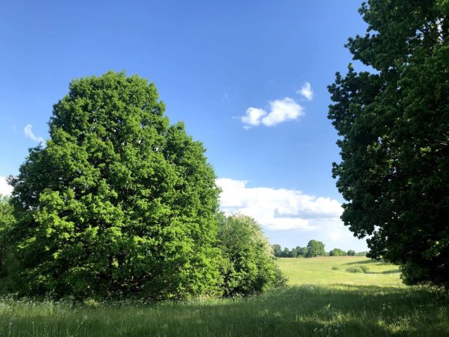 Działka rolno-budowlana Ględy. Zdjęcie 1