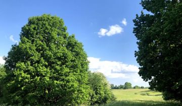 Działka rolno-budowlana Ględy