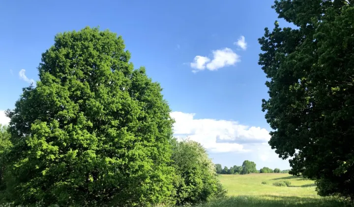 Działka rolno-budowlana Ględy