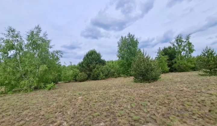 Działka budowlana Lipków, ul. Ignacego Mościckiego