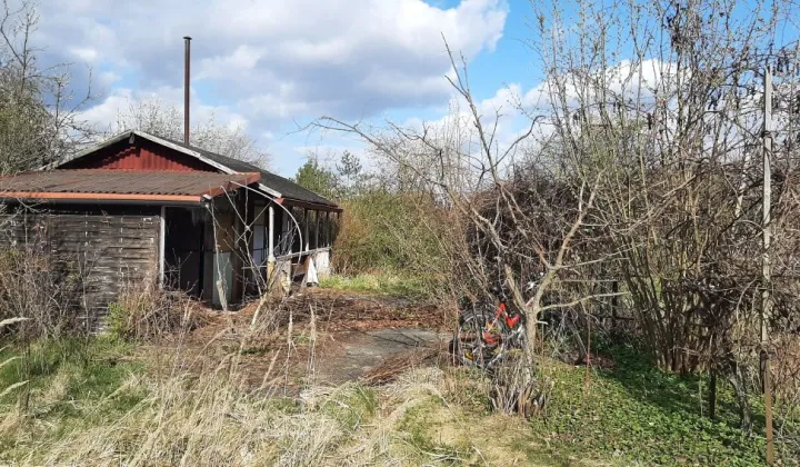 Działka rod Wrocław Krzyki, ul. Bardzka