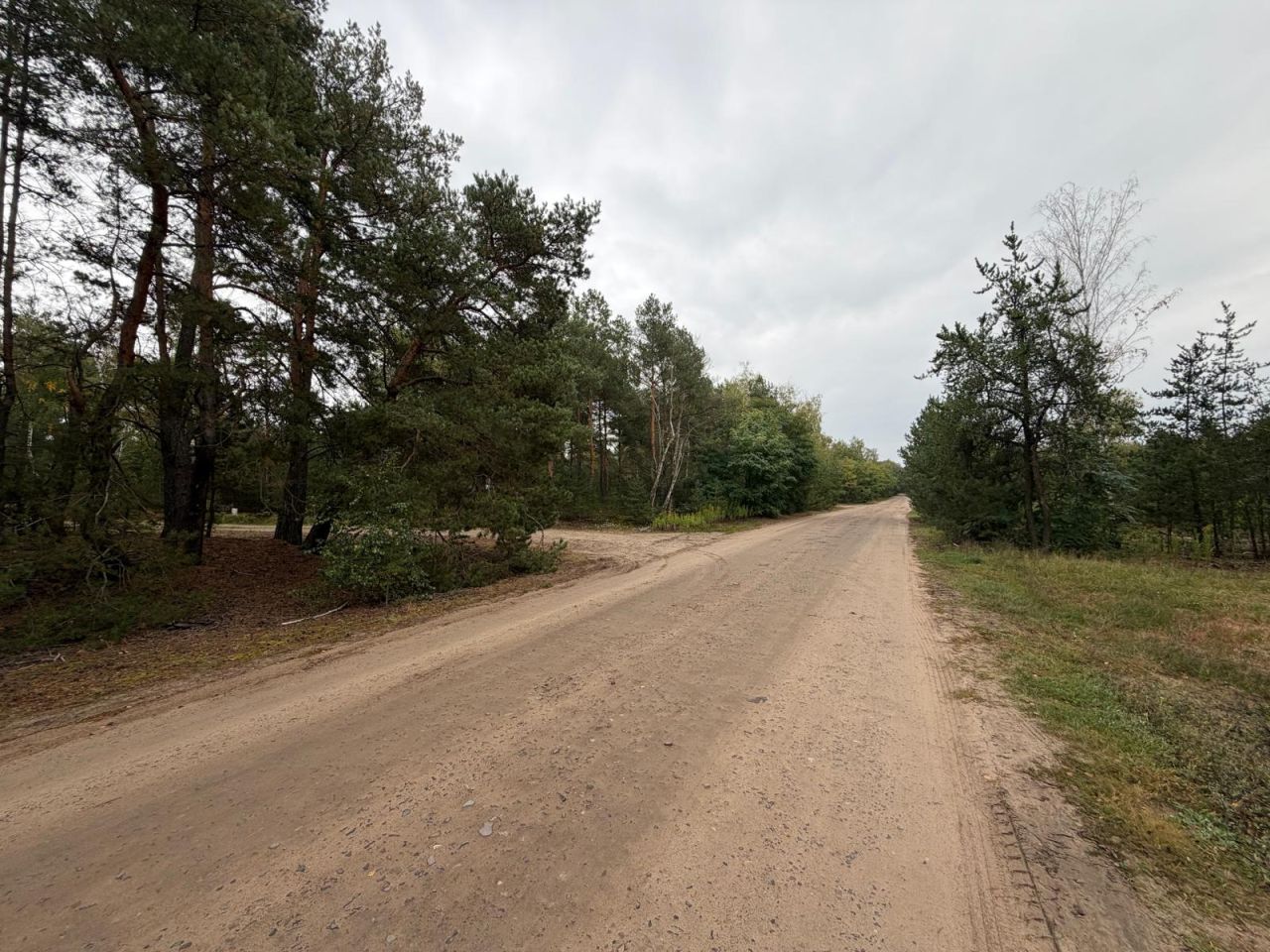 Działka leśna Michałów-Reginów. Zdjęcie 3