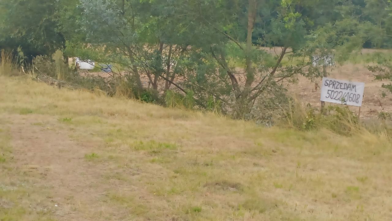 Działka inna Żary Kunice Żarskie, ul. Sezamkowa. Zdjęcie 4