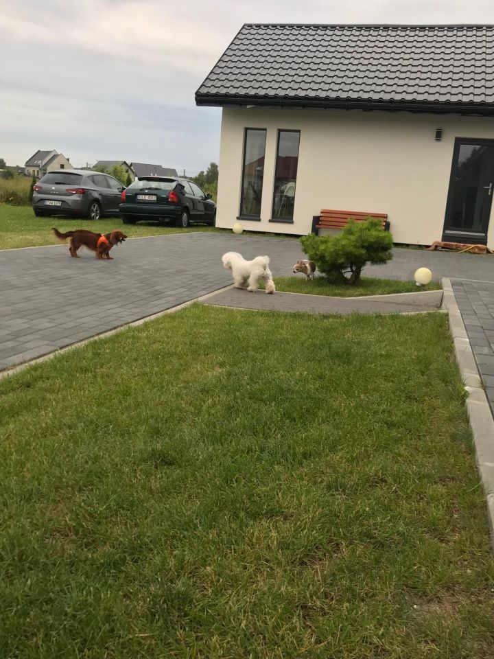 bliźniak, 18 pokoi Nowęcin, ul. Żwirowa. Zdjęcie 19