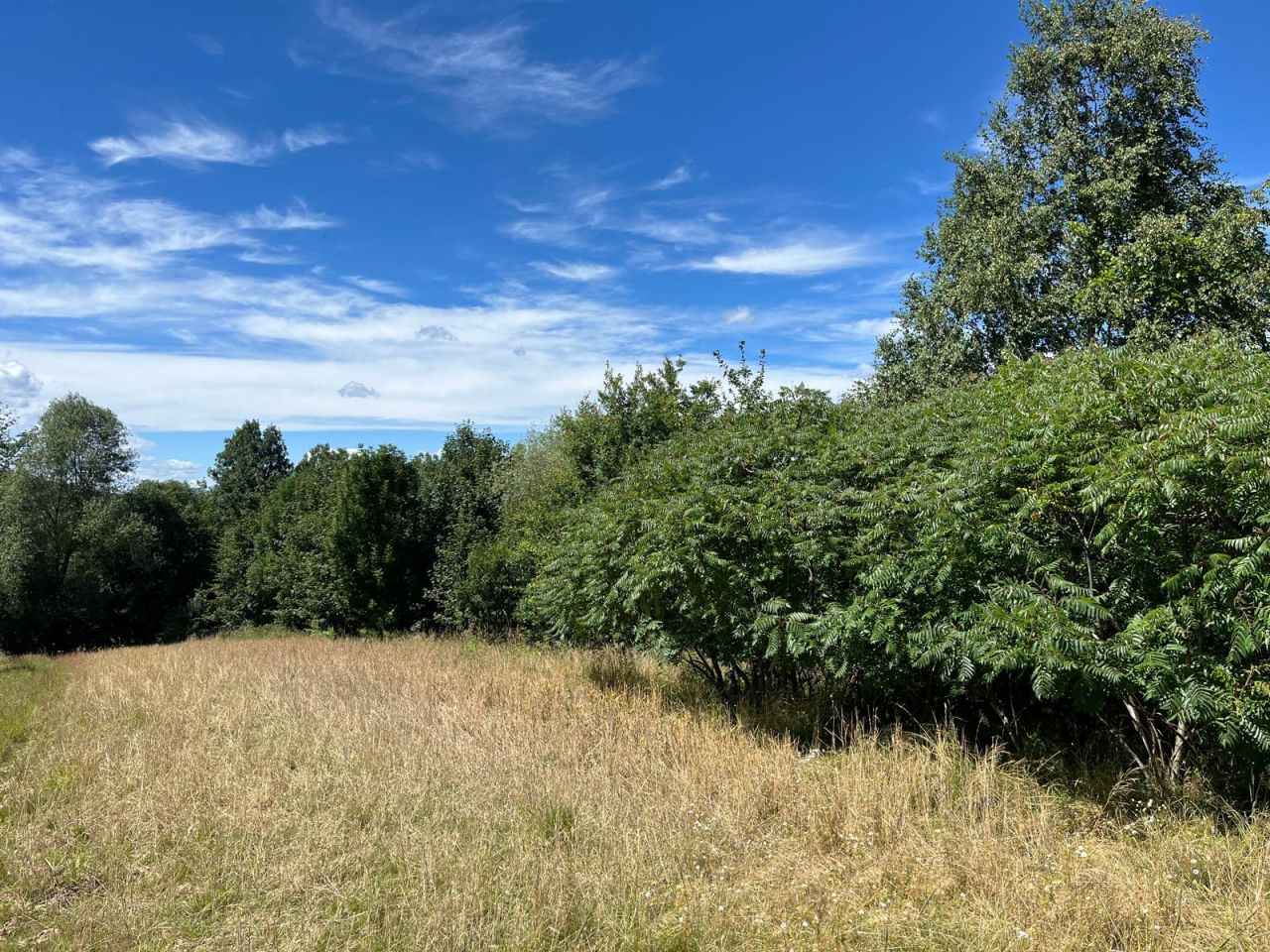 Działka rolno-budowlana Jasienica